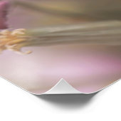 Poster Fleur pourpre foncé fleurs florales (Coin)