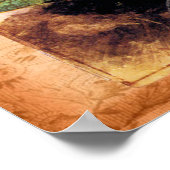 Poster Fleur Primrose vintage (Coin)