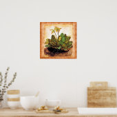 Poster Fleur Primrose vintage (Cuisine)