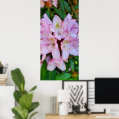 Poster Fleur Rhododendron rose (Bureau à domicile)