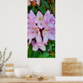 Poster Fleur Rhododendron rose (Cuisine)