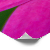 Poster fleur rose (Coin)