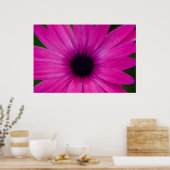 Poster fleur rose (Cuisine)