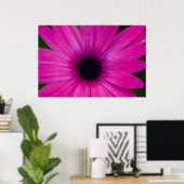 Poster fleur rose (Bureau à domicile)