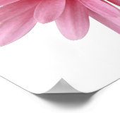 Poster Fleur rose (Coin)