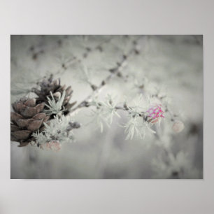 Poster Fleur rose à Larch Noir et Blanc