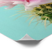 Poster Fleur rose Au-Dessus de Spiky Cactus (Coin)