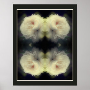 Poster Fleur Rose Blanche En Pleine Fleur Abstraite