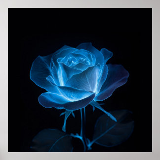 Poster Fleur Rose bleu bioluminescente sur noir
