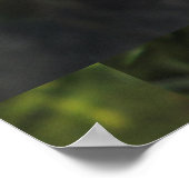 Poster Fleur rose Cosmos (Coin)