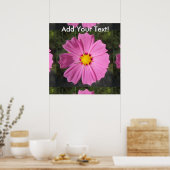 Poster Fleur rose Cosmos (Cuisine)