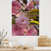 Poster Fleur rose de Yaezakura (Cuisine)