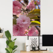 Poster Fleur rose de Yaezakura (Bureau à domicile)