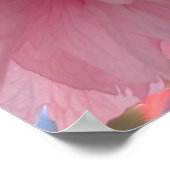 Poster Fleur rose de Yaezakura (Coin)