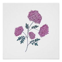 Fleur rose dessinée à la main, élégante botanique