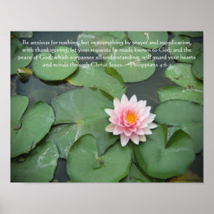 Poster Fleur rose et verte Lily Pad avec Verso Bible
