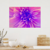 Poster Fleur rose Macro (Cuisine)