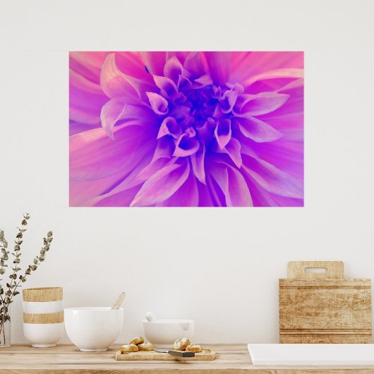 Poster Fleur rose Macro (Cuisine)