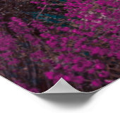 Poster Fleur rose pétée (Coin)