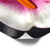 Poster Fleur rose rose rose rose fleur rose fleur tropica (Coin)