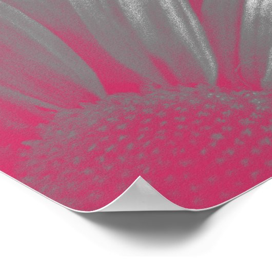 Poster Fleur rose surlignée (Coin)