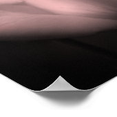 Poster Fleur Rosebud Noir Et Blanc Tinté (Coin)