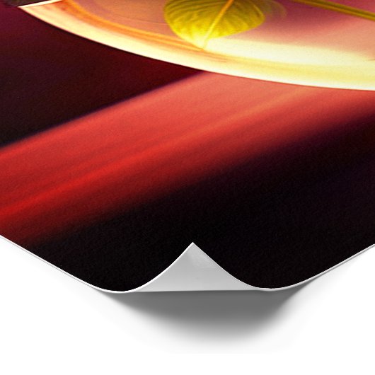 Poster Fleur rouge (Coin)