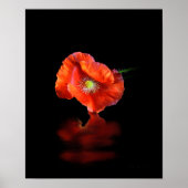 Poster Fleur Rouge (Devant)