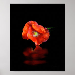 Poster Fleur Rouge