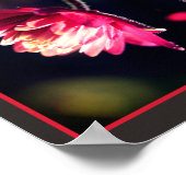 Poster Fleur rouge au soleil fermer miroir Abstrait (Coin)