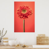 Poster Fleur rouge Barberton Gerbera Daisy (Cuisine)