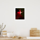 Poster Fleur rouge de cactus de Noël en gros plan (Cuisine)