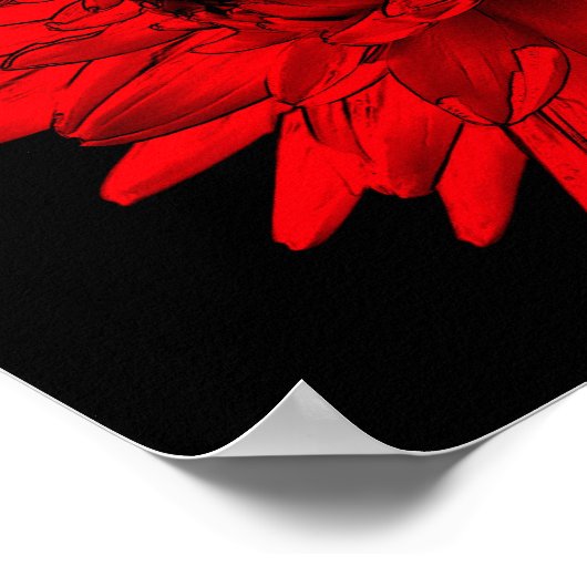 Poster Fleur rouge Hot Dahlia (Coin)