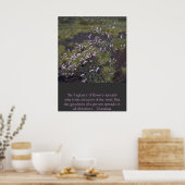 Poster fleur sauvage (Cuisine)
