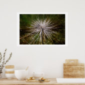 Poster Fleur sauvage (Cuisine)