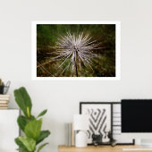 Poster Fleur sauvage (Bureau à domicile)