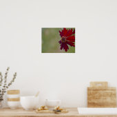 Poster fleur sauvage 1 (Cuisine)