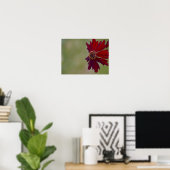 Poster fleur sauvage 1 (Bureau à domicile)