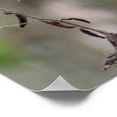 Poster fleur sauvage - 16 x 20 (Coin)