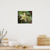 POSTER FLEUR SAUVAGE 4 (Cuisine)