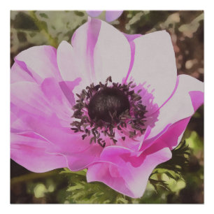 Poster Fleur sauvage Anémonique Pastel Rose Artistique