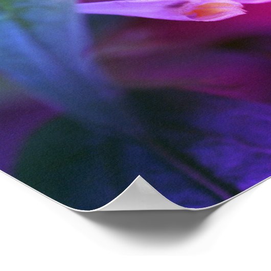 Poster Fleur sauvage blanc minuscule gros plan (Coin)