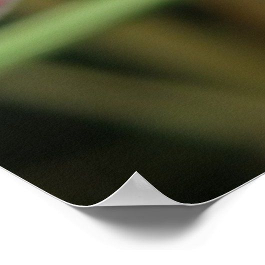 Poster Fleur sauvage Campion rouge (Coin)