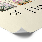 Poster Fleur sauvage d'Amérique du Nord (Coin)