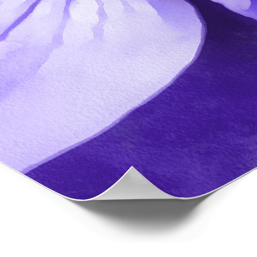 Poster Fleur sauvage d'anémone bleu Lilac (Coin)