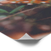 Poster Fleur sauvage d'automne (Coin)