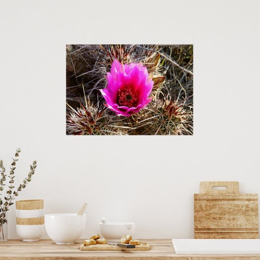 Poster Fleur sauvage de cactus en fleurs (Prickly Pear) (Cuisine)