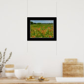 Poster fleur sauvage de couverture indien 16x20 (Cuisine)