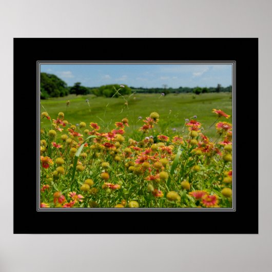 Poster fleur sauvage de couverture indien 16x20 (Devant)