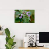 Poster Fleur sauvage de Deadnettle en fleurs (Bureau à domicile)